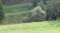 MMTZ_Kezmarok_SK_039