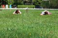Cesky_Brod_13042024_03
