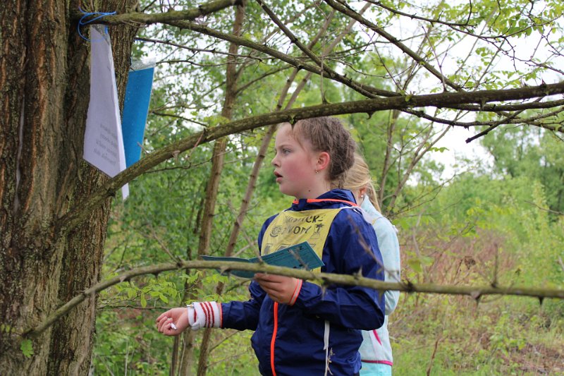Bohumin_16052026_06.jpg - 2. závod Českého poháru v Bohumíně (16. května 2026) - Dřeviny
