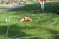 Rapsach_18042026_04