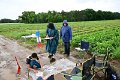 MCR_Hostin_13062026_06