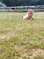 Letni_kurz_UK_14072026_03